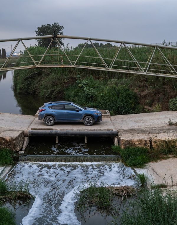 תמונה של מתגלגלים אל נחל אלכסנדר - למטייל בישראל (טיולי)
